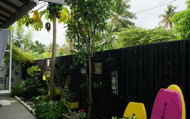Palms Friendly House