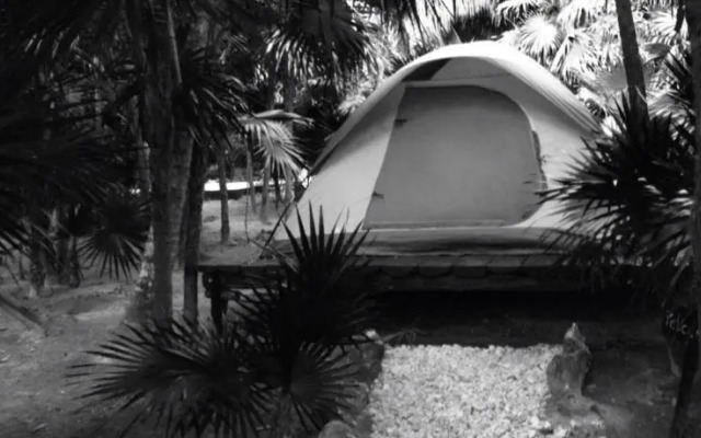 Turquesa Tulum Jungle Camping