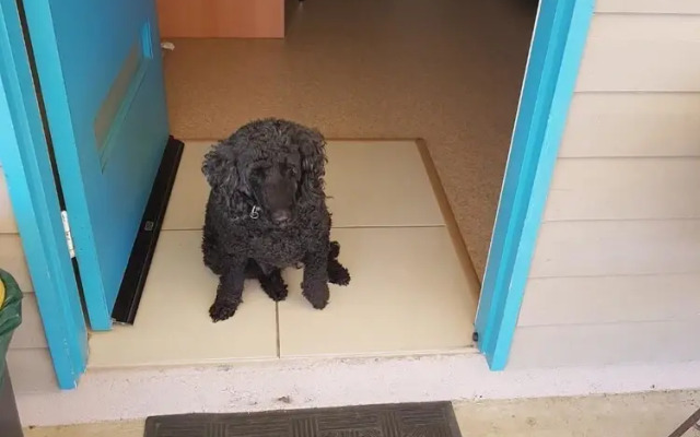 A Country View Motel