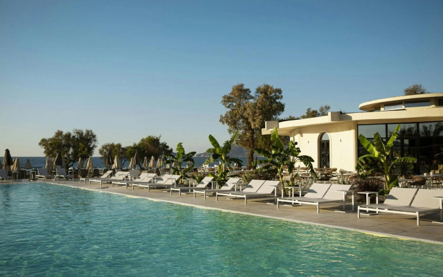 Domes Aulus Zante, Autograph Collection