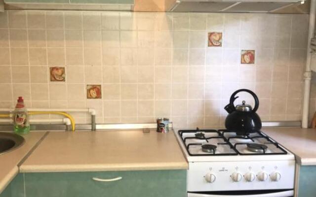 Apartment on Akhmetova 10