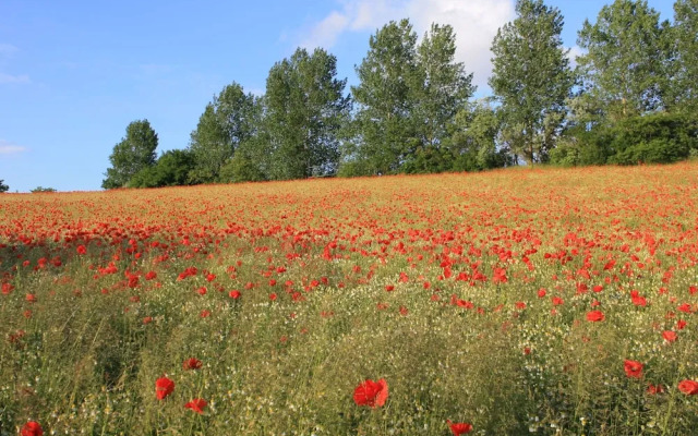 Bungalow in Boergerende-rethwisch mit Sauna