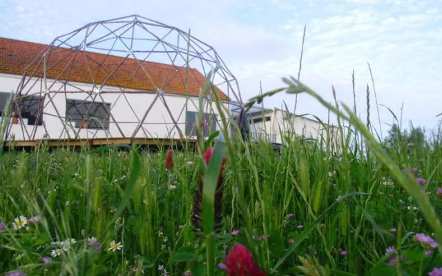 Herdade do Freixo do Meio