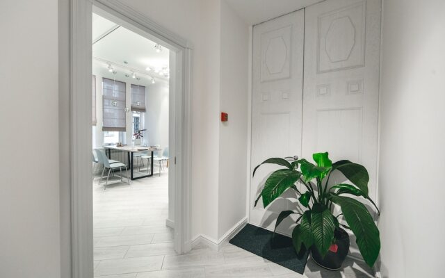 Safe Haven Nevsky 95 - Hostel