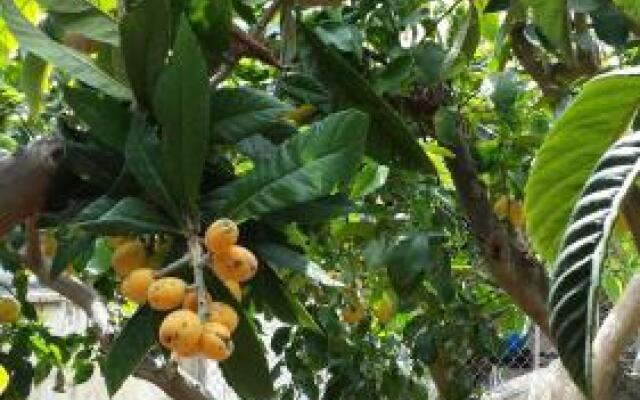 Soggiorno San Francesco