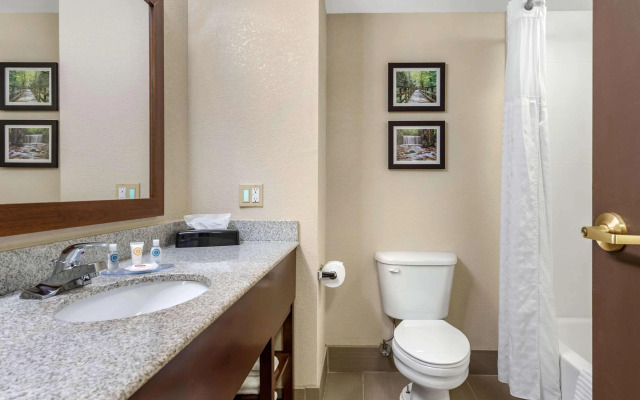 Comfort Inn & Suites Columbus East
