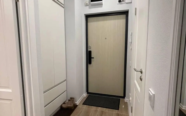 Апартаменты на проспекте Большой Сампсониевский 70/3