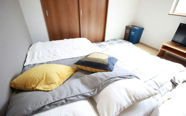 Saint Paulia Osaka Castle