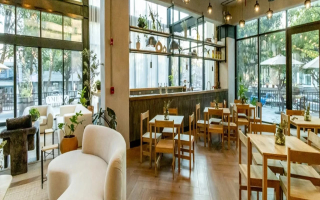 Hotel Mutuo Vive