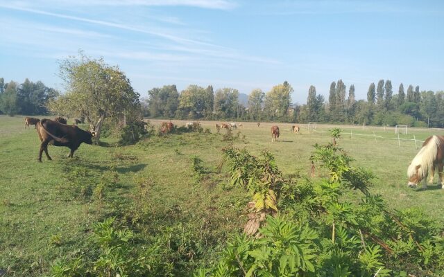 Agriturismo Fattoria Didattica I Due Mondi