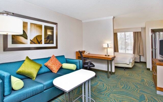 Springhill Suites by Marriott Chicago Elmhurst/Oakbrook Area