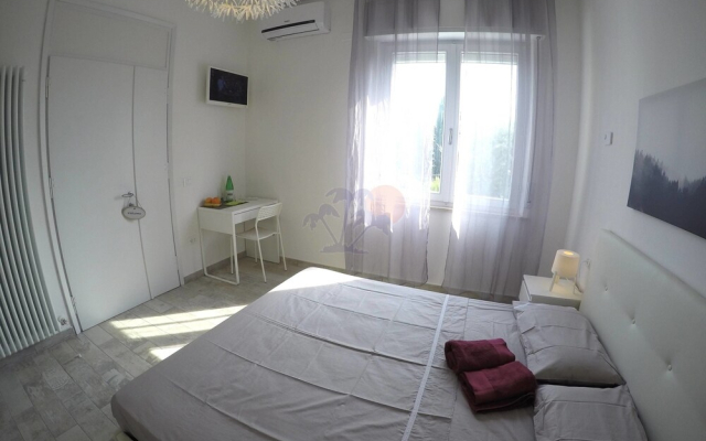 New Camere Pederzoli