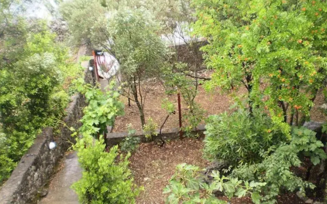 Krasici Green House