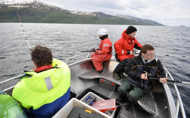 Topcamp Havblikk - Helgeland