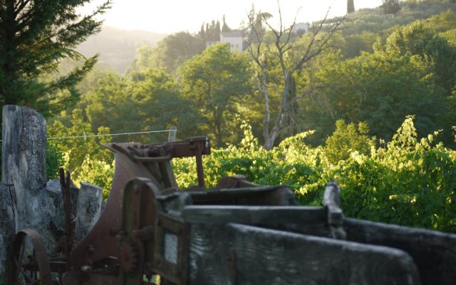 Azienda Agricola Polveraia