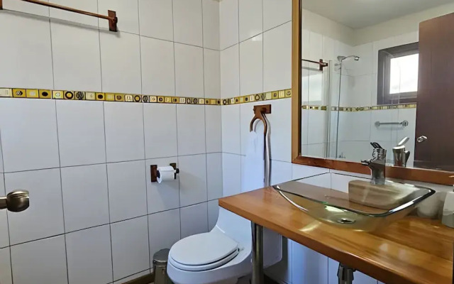 Oceana Suites Corralco