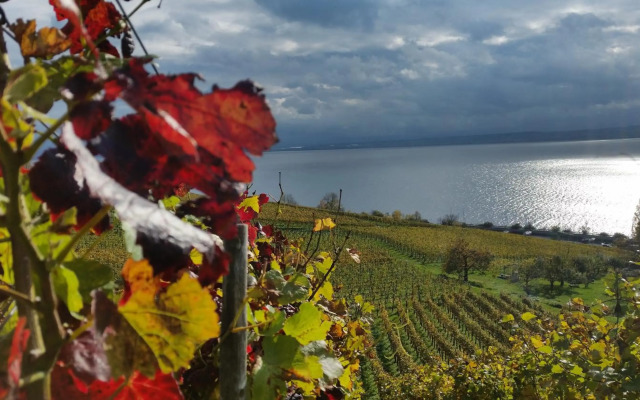 Palais am Schlossplatz