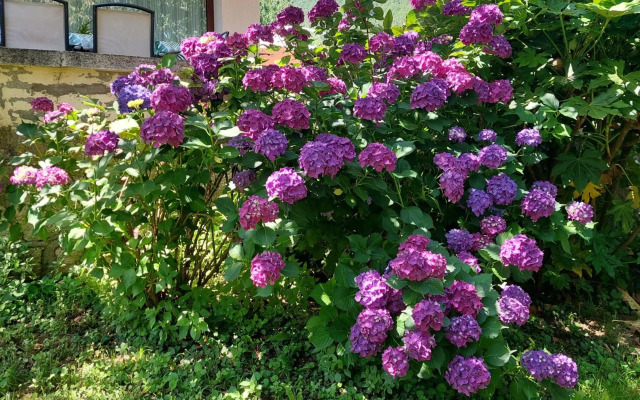Puente Canto de Gredos