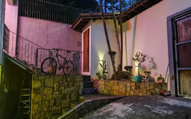 Daniel de Souza Miguel