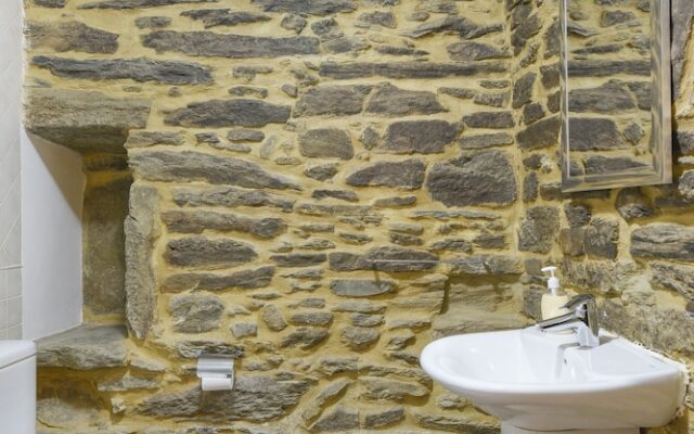 Sobreiros's Villa in Douro Valley