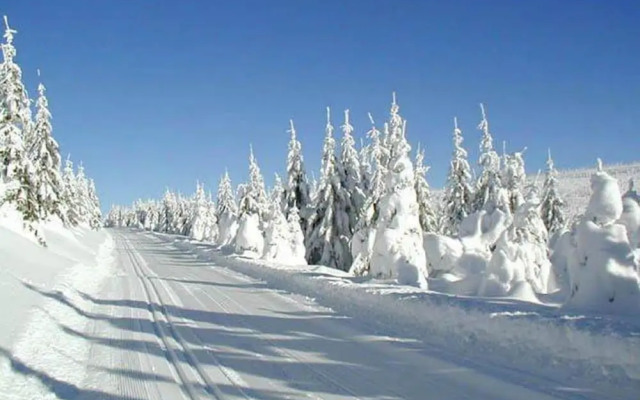 M M Apartment 2 in Harrachov