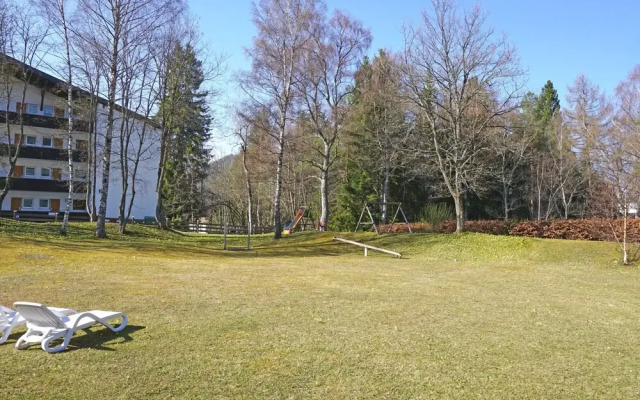 Birkenwald Seefeld in Tirol