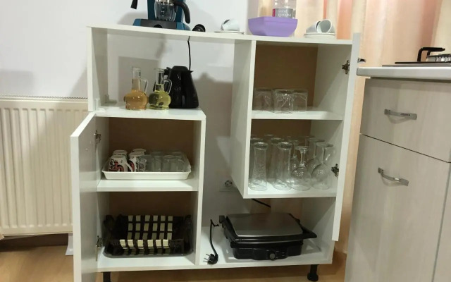 Serban Home Arenele Romane Marius Nasta