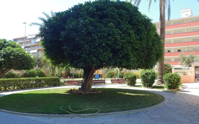 Tortuga Flat