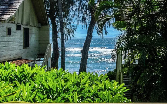 Kapaa Sands 17