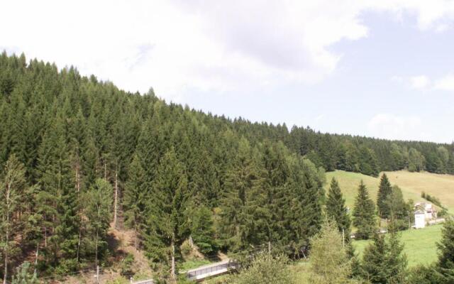 Ferienwohnung Sternkopf