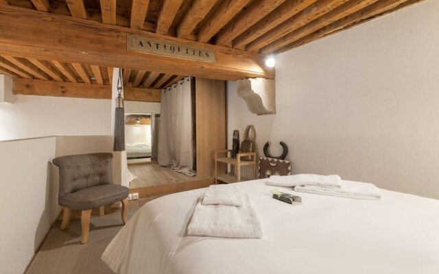 Very Comfortable Loft in Croix-rousse