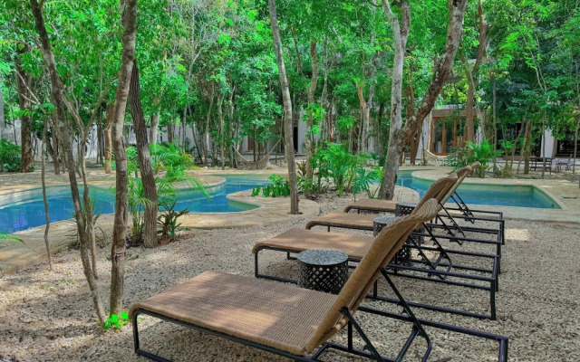 Increible Studio Con Jacuzzi Naia C19