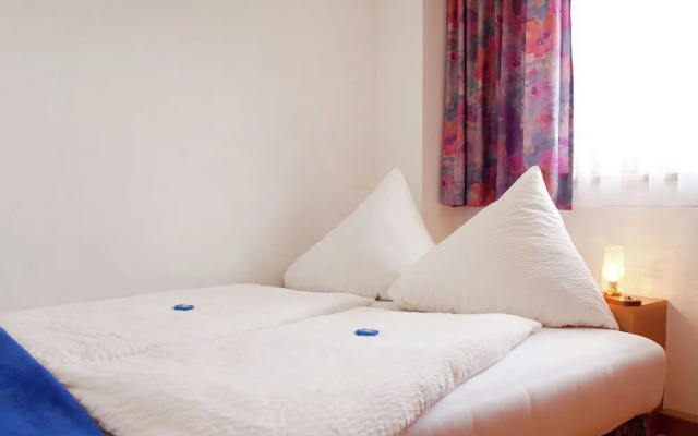 Cozy Apartment in Niedernsill near Skiing