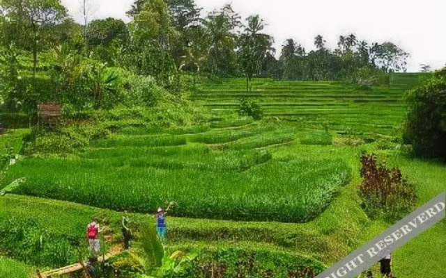 Prana Dewi Mountain Resort
