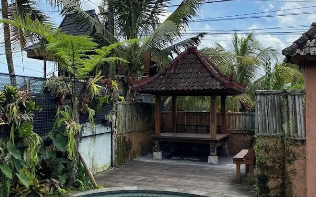 Budha House Ubud