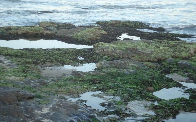 Apartamentos Di Armazzem