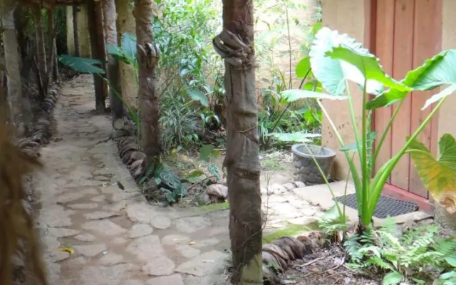 Rural Jungle Backpackers Hostel