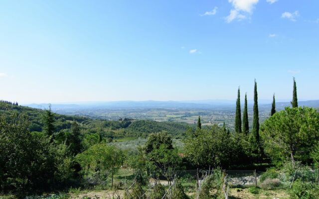 Farmhouse With Pool And Large Garden, 50 Acres Of Vineyards, Wine Tasting