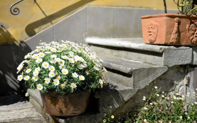 Locanda Giolica