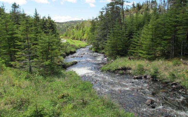 The Wilds at Salmonier River