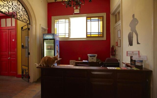 Flying Dog Backpackers Hostel