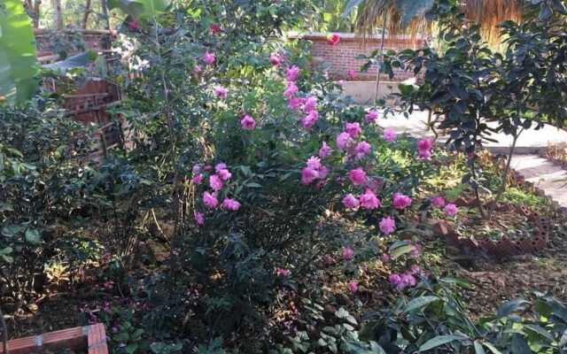 Van Long Family Homestay