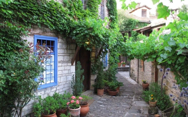 Saxonis Houses