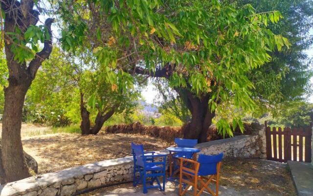 Almond trees house