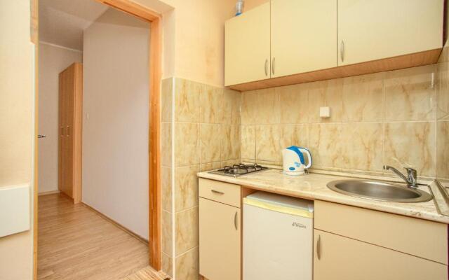 Apartment Vladan