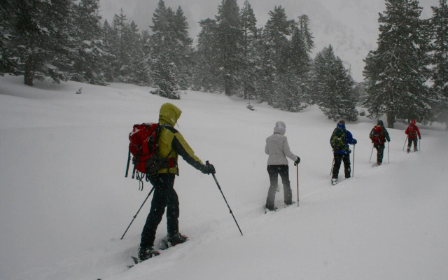 Amaroq Explorers BaseCamp