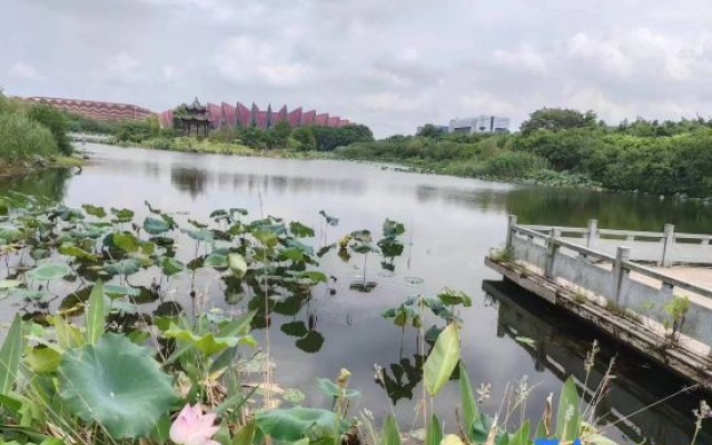 Lotus Garden (Tongling College Branch) – Outside – Tongling