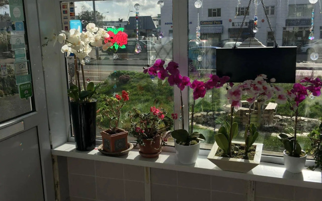 Jasmine House