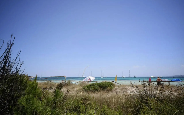Porto Coda Cavallo Apartaments