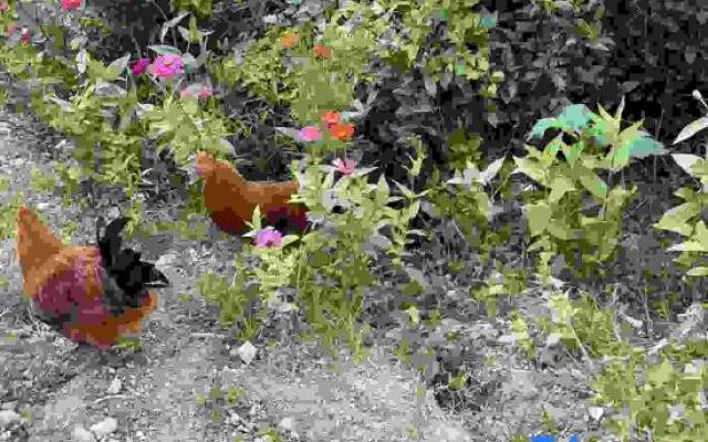 Yuyao Old Shen's Tea House